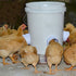 (🔥2023 Hot Sale 30% OFF) DIY Chicken Feeder